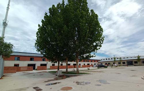 中逸文化产业基地独栋 