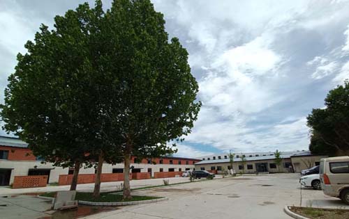 中逸文化产业基地地上停车处